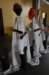 dsc_0719kopiowanie_small.jpg